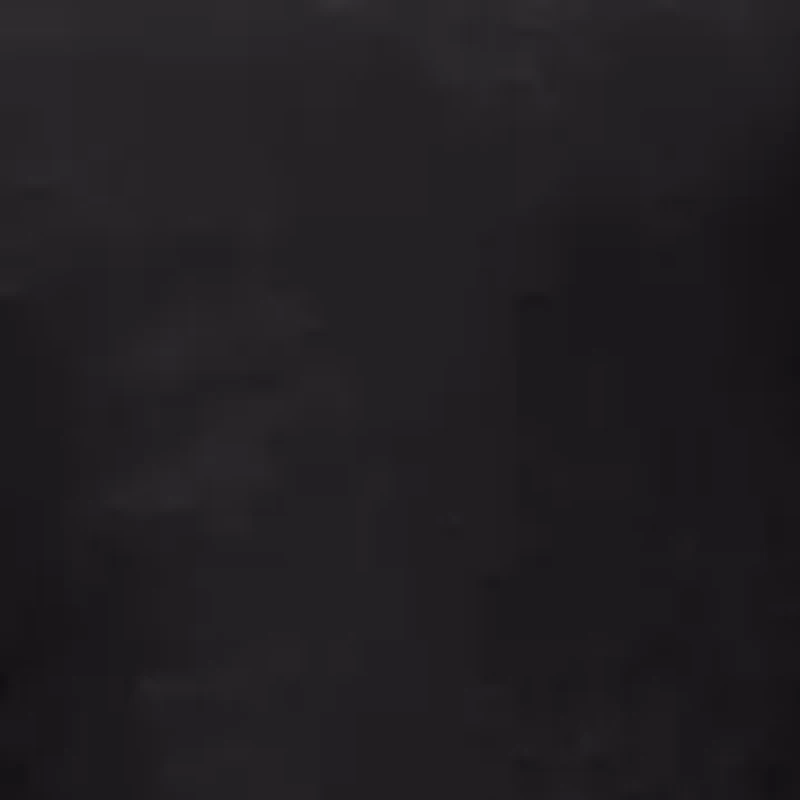 Alton Plush to Sherpa Down Alternative Comforter Set