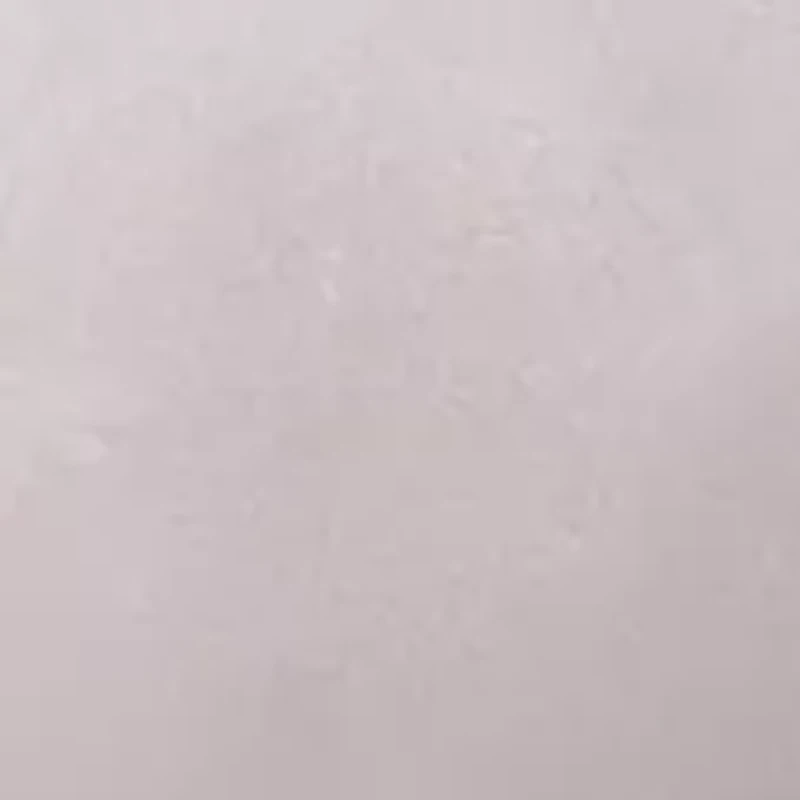 Silk 100% Mulberry Single Pillowcase