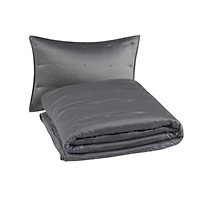 Ames 3 Piece Charmeuse Coverlet set