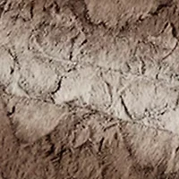 Zuri 4 Piece Faux Fur Comforter Set