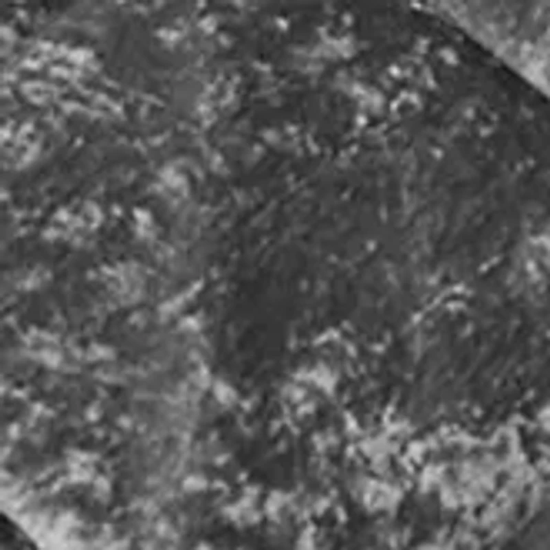 Felicia Velvet Comforter Set with Throw Pillow