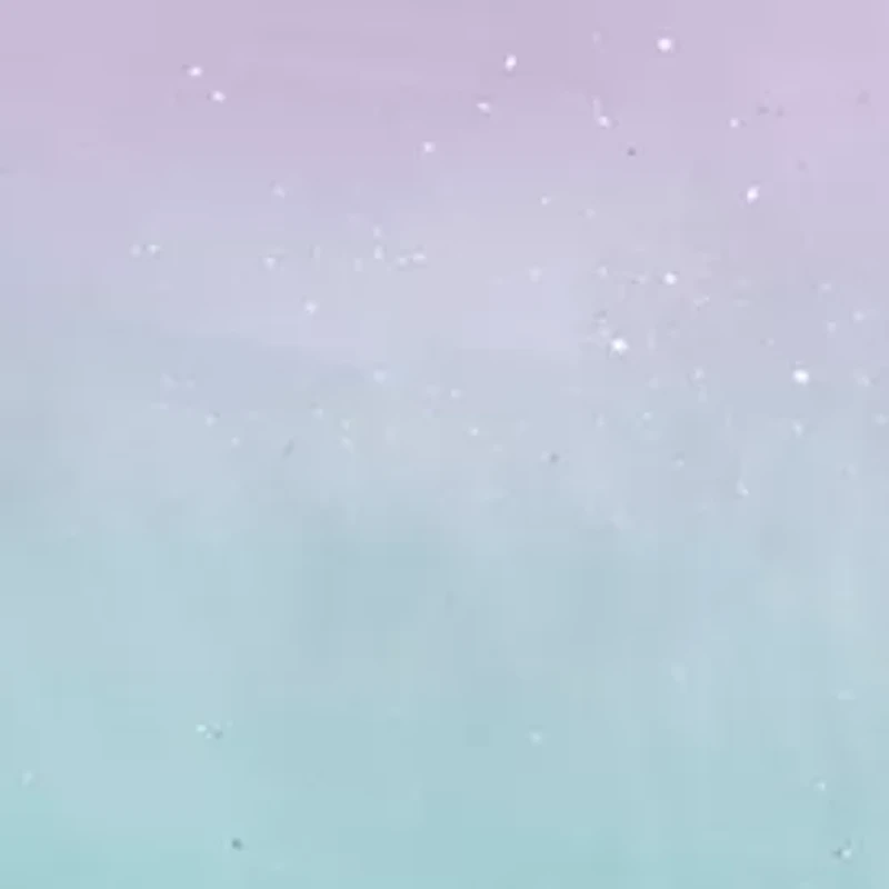 Glimmer Metallic Glitter Printed Reversible Duvet Cover Set