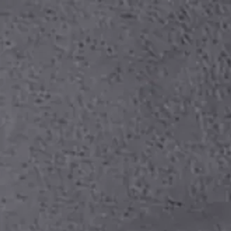 Pheasant Decorative Pillow