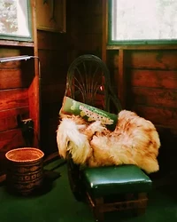 Camp Wandawega Trout Hook Pillow