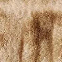 Ruched Rabbit Lumbar Pillow with Down Insert