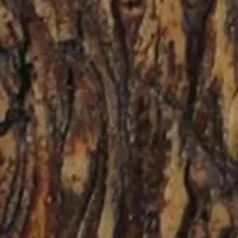 Antler & Tree Bark Tissue Box Cover