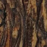 Antler & Tree Bark Tissue Box Cover