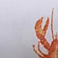 Coastal Lobsters Sheet Set