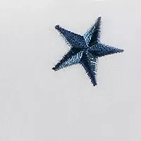 Embroidered Texas Star Sheet Set