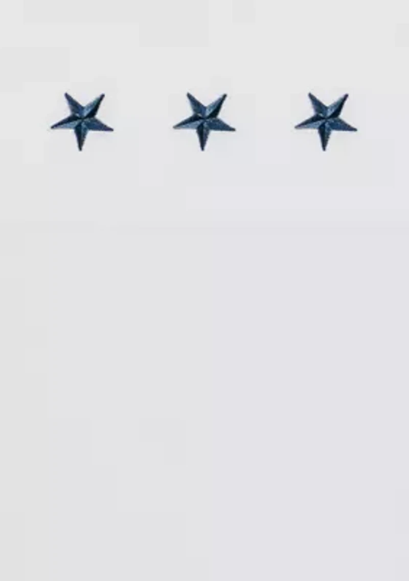 Embroidered Texas Star Sheet Set