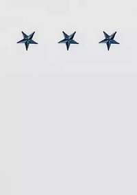 Embroidered Texas Star Sheet Set