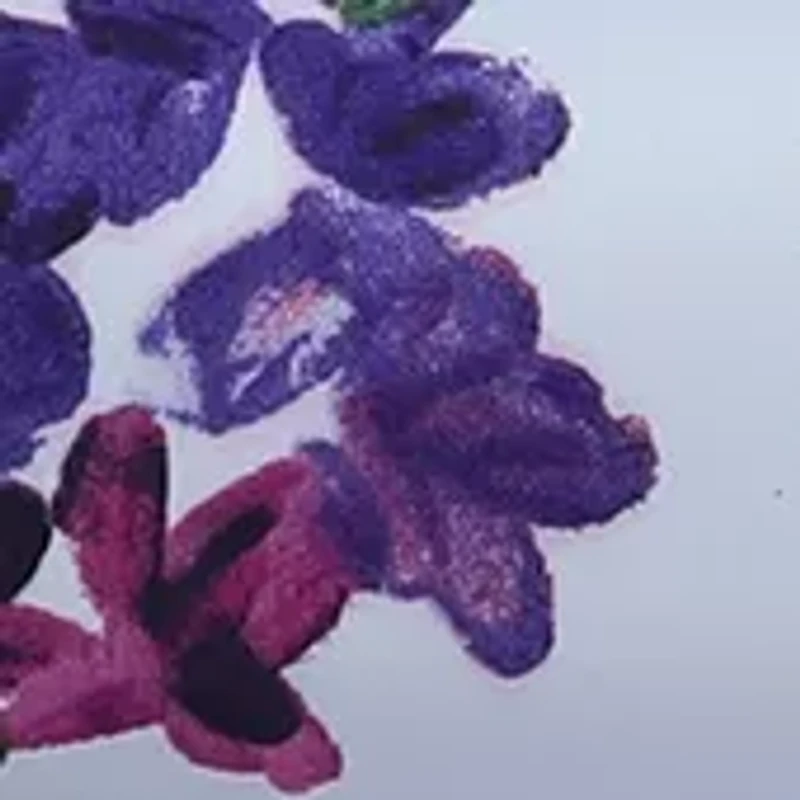 Printed 110-GSM Microfiber Deep Pocket Sheet Set