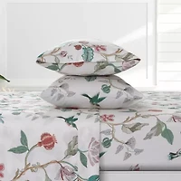 Cristina Organic Cotton 300 Thread Count Sateen Extra Deep Pocket Sheet Set