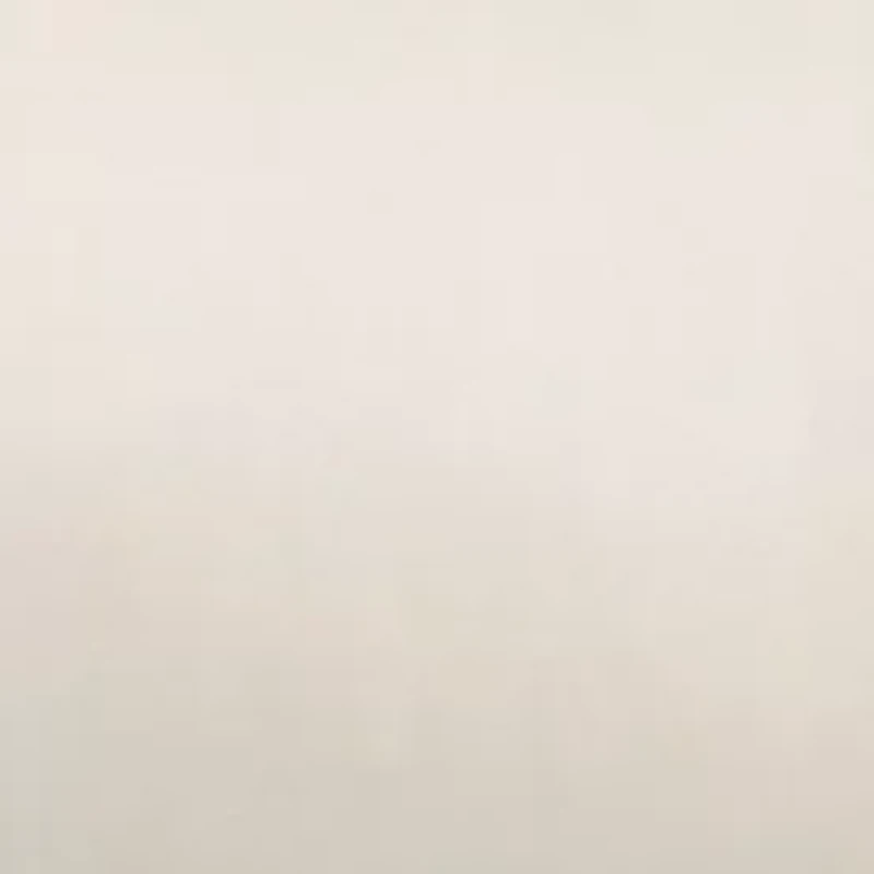 300 Thread Count Rayon from Bamboo Pillowcases (Set of 2)