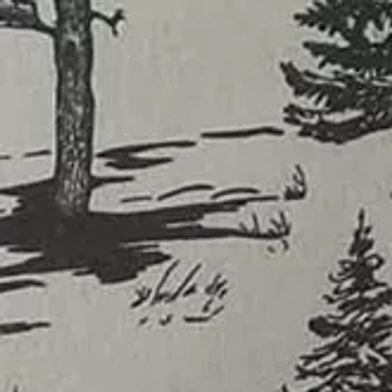 Heavyweight Cotton Flannel Printed Pillow Pair