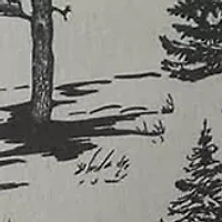 Heavyweight Cotton Flannel Printed Pillow Pair