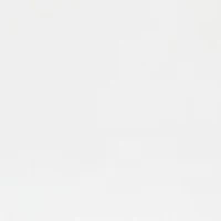 2-Pack Plush Bed Pillows Set