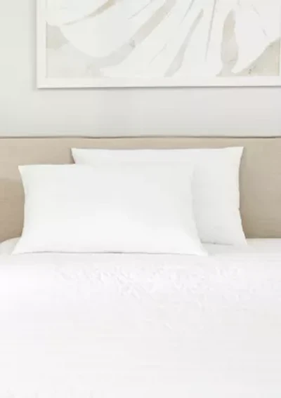 2-Pack Plush Bed Pillows Set