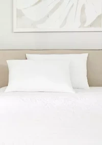 2-Pack Plush Bed Pillows Set