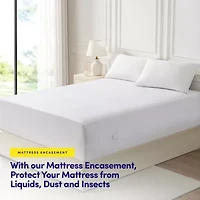 Premium Zippered Mattress or Box Spring Encasement Waterproof and Bed Bug Protection