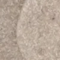 Coastal Shell Bath Accessory Collection Bathroom Tumbler