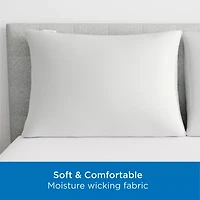 Allerease Maximum 2pk Pillow Cover