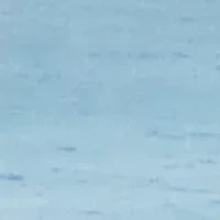 5.5 Gel and Fiber Topper