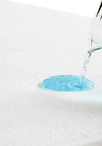 Dream Collection Mattress Protector