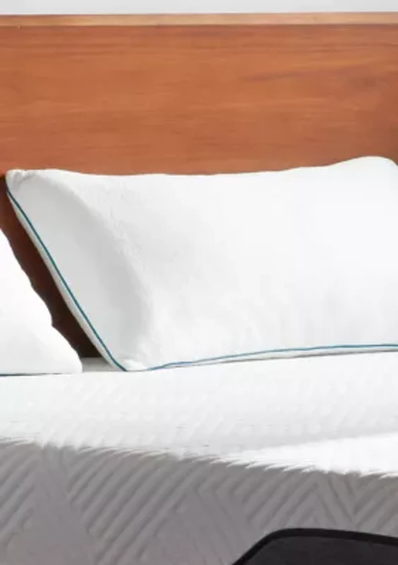 Dream Collection 2 Pack Shredded Memory Foam Pillow