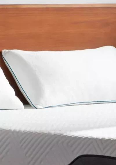 Dream Collection 2 Pack Shredded Memory Foam Pillow