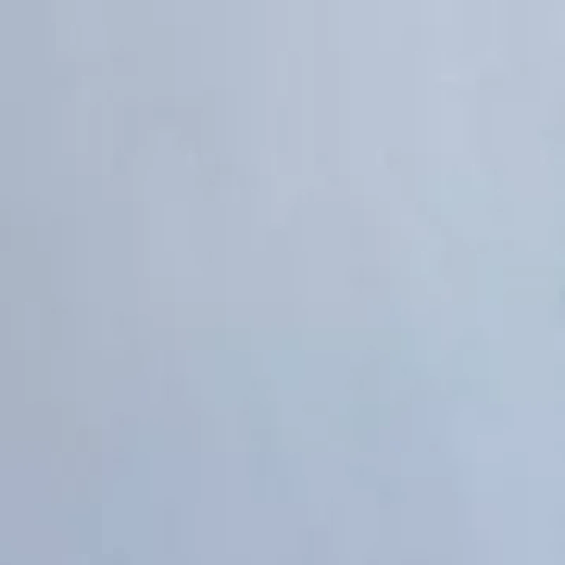 Set of 2 400 Thread Count Cotton Pillowcases