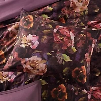 Seraphina 4 Piece Velvet Comforter Set
