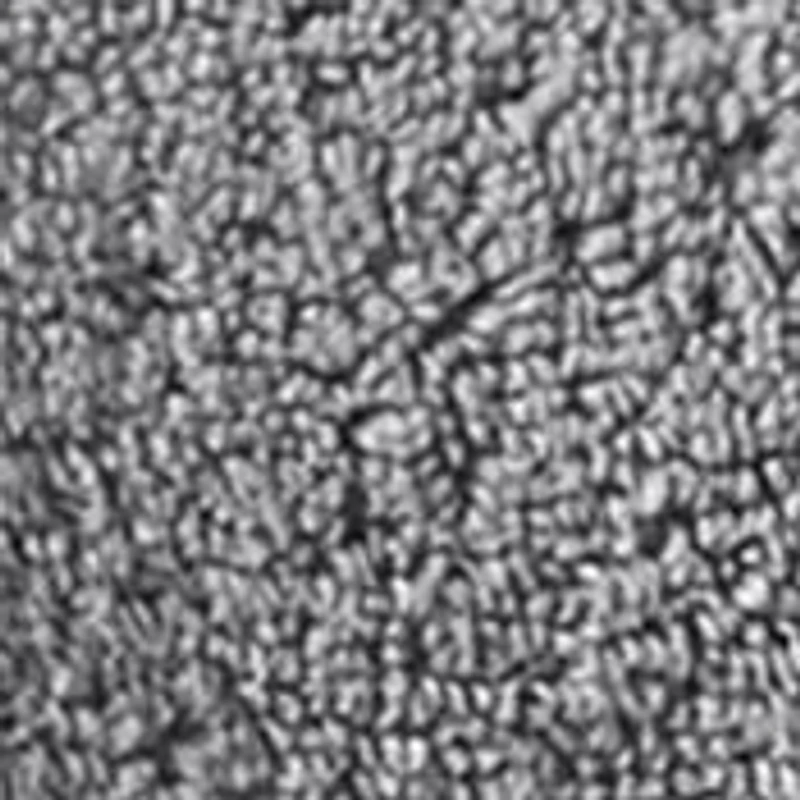 Splendor 1000gsm 100% Cotton 6 Piece Towel Set