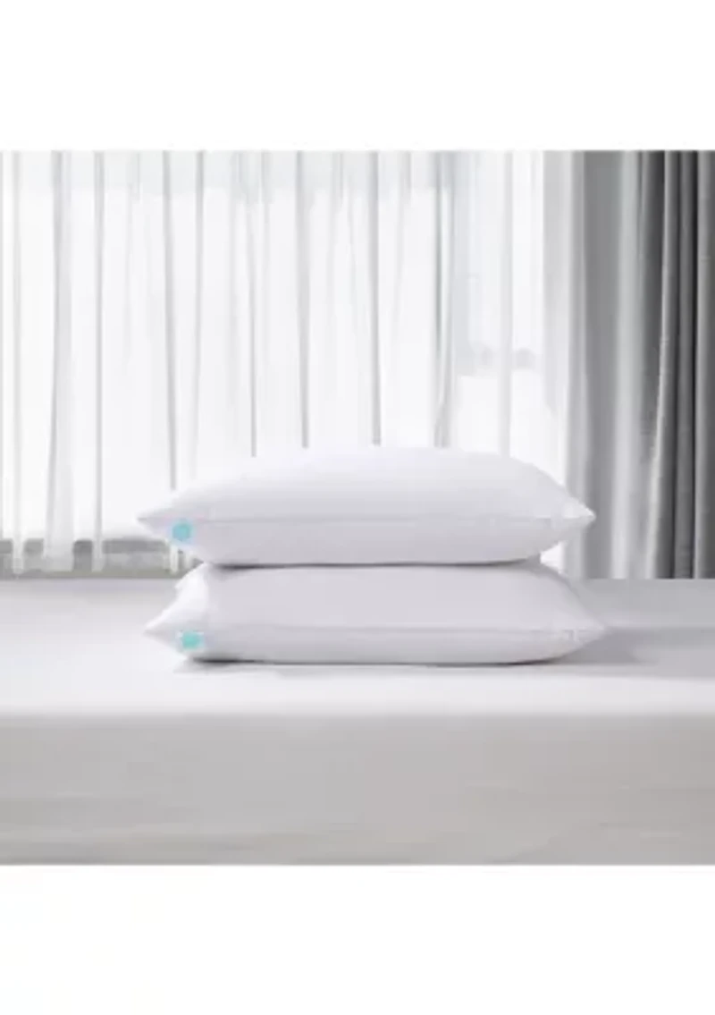 Tencel®/Cotton Blend Tencel®-Around 95/5 Feather/Down Pillow (2 Pack) - Medium Firm
