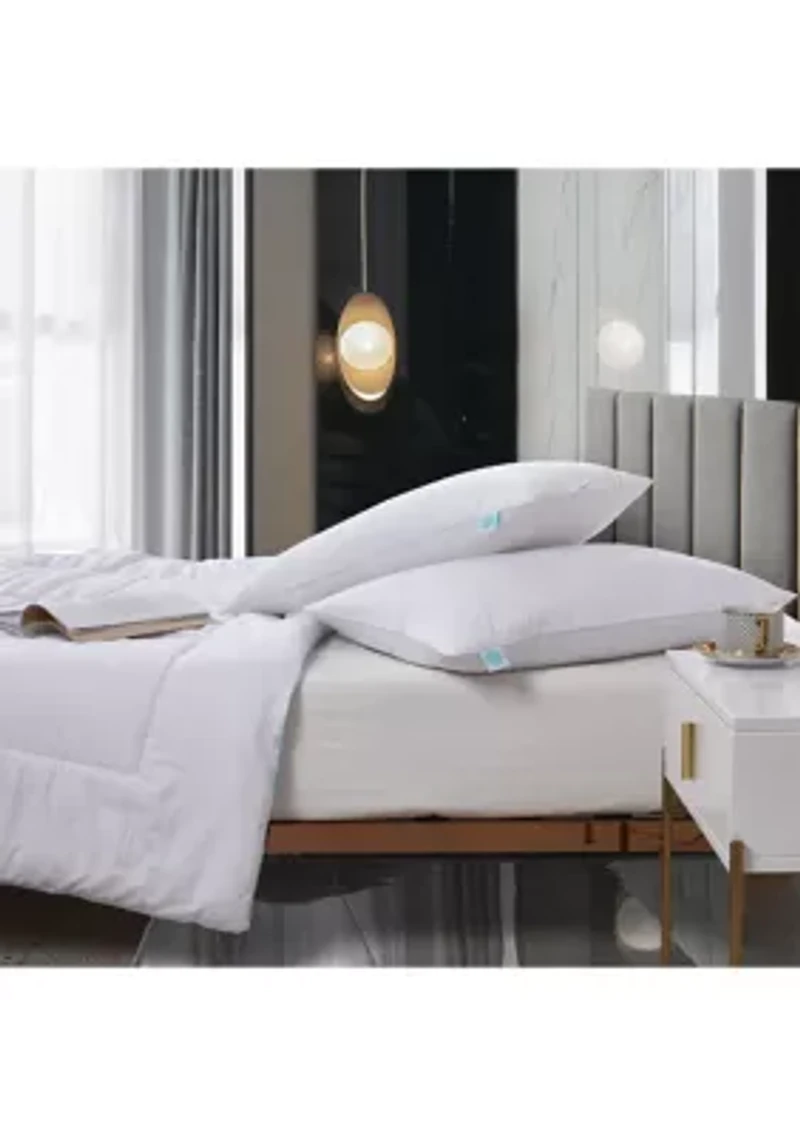 Tencel®/Cotton Blend Tencel®-Around 95/5 Feather/Down Pillow (2 Pack) - Medium Firm