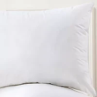 White Goose Feather Down Blend Pillow, Set of 2 King