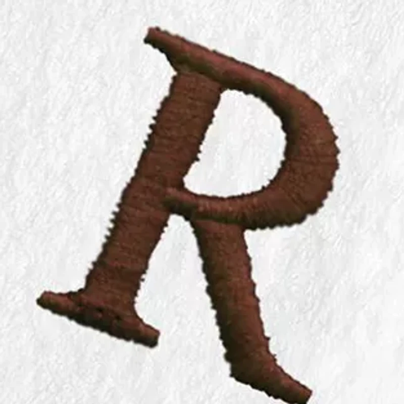 Personalized Novelty Hand Towels (Set of 2) in Bookman Font