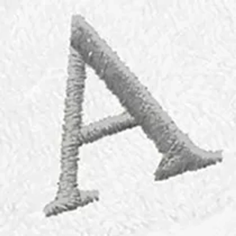 Personalized Denzi Hand Towels (Set of 2) Silver Font