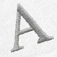 Personalized Denzi Hand Towels (Set of 2) Silver Font