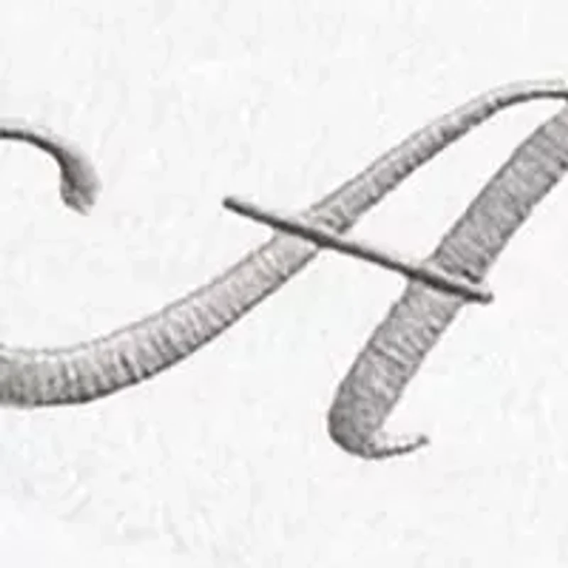 Personalized Denzi Hand Towels (Set of 2) Silver Linum Font