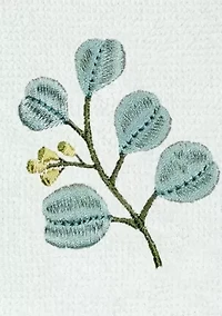 BOTANICA 2PC Embellished Fingertip Towel Set