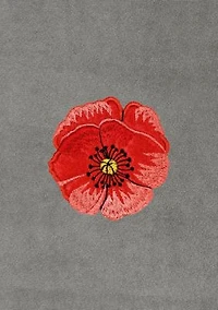 POLLY 2PC Embellished Fingertip Towel Set