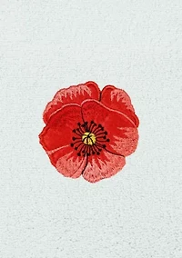 POLLY 2PC Embellished Fingertip Towel Set