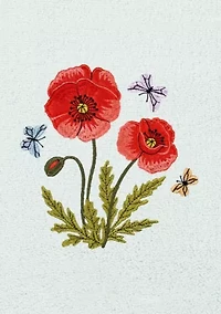 POLLY 2PC Embellished Bath Towel Set