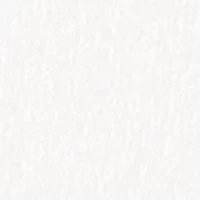 Christmas Cute Couple