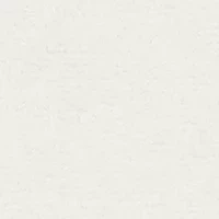 BRAELYN 2PC Embellished Hand Towel Set