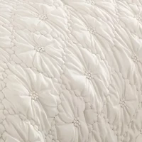 French Fancy Textured Ivory 10-Piece Embellished Microfiber Comforter Set
