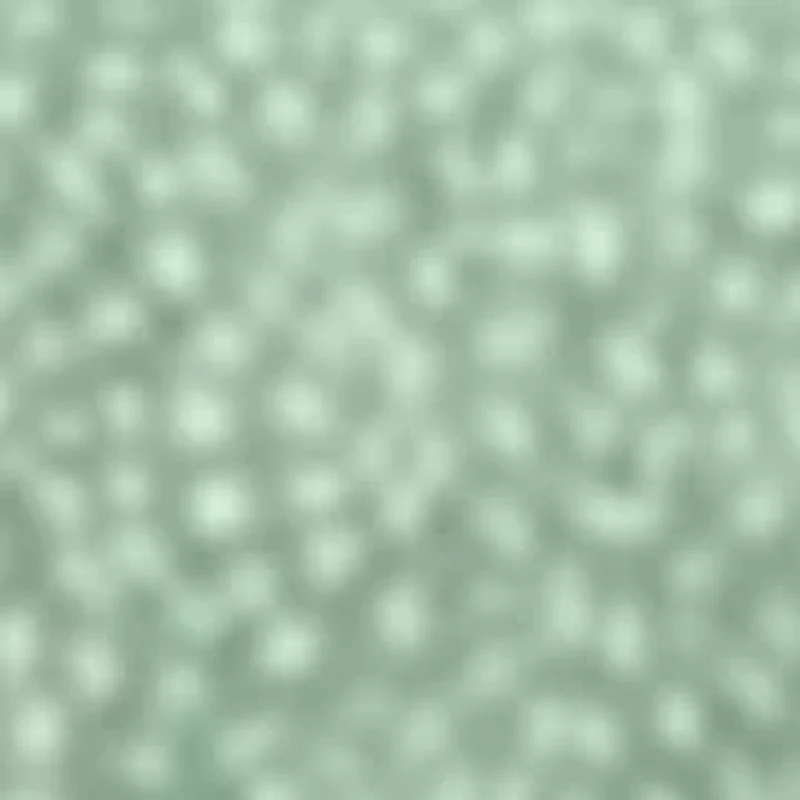 Dot Print Comforter Set