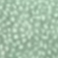 Dot Print Comforter Set