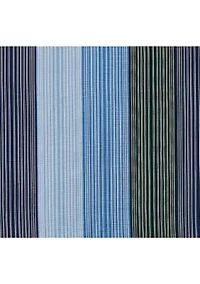 Explorer Stripe Comforter Set